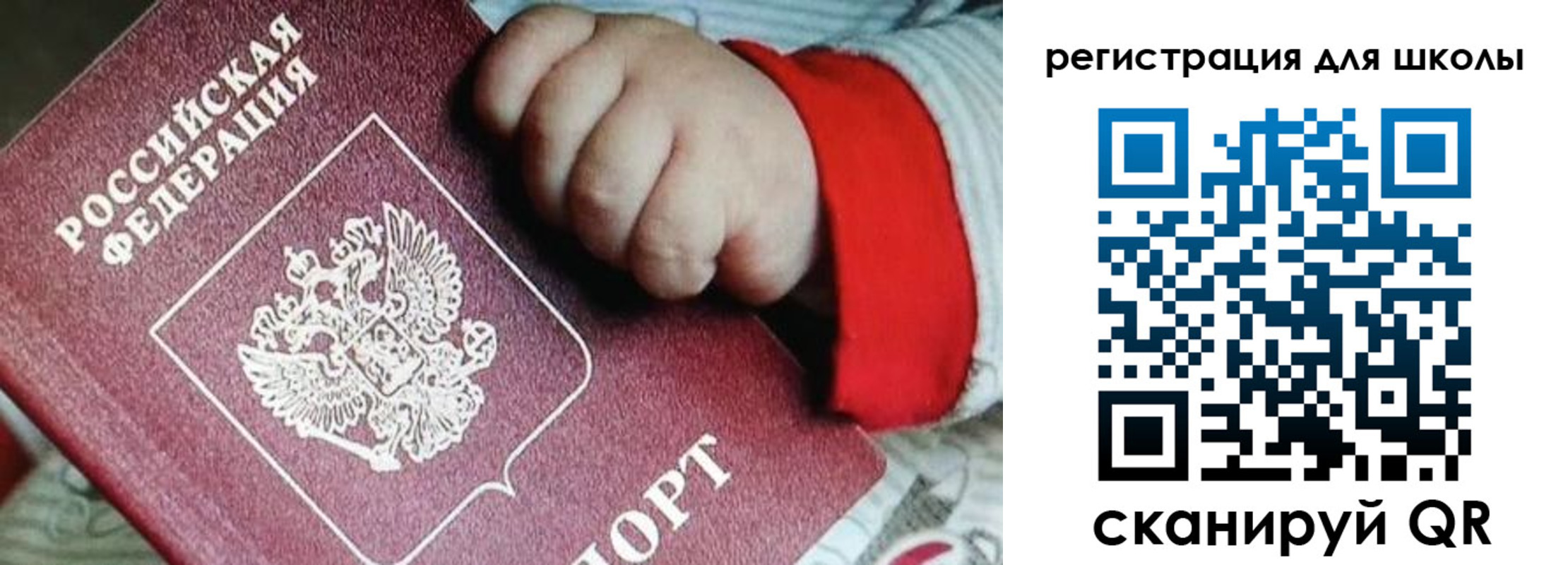 где прописаться в Александрове